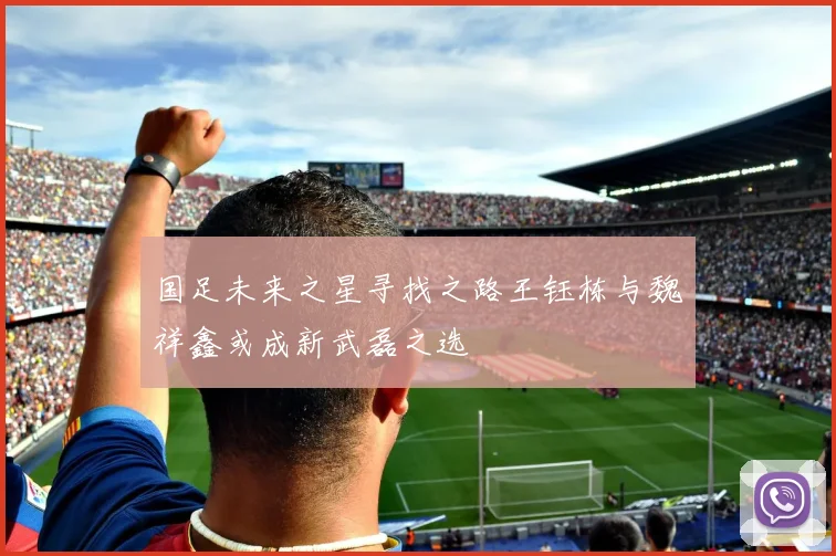 国足未来之星寻找之路王钰栋与魏祥鑫或成新武磊之选