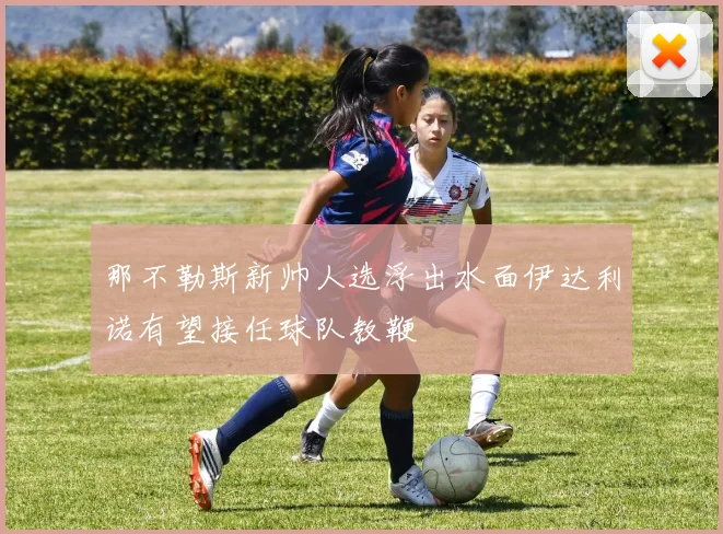 那不勒斯新帅人选浮出水面伊达利诺有望接任球队教鞭